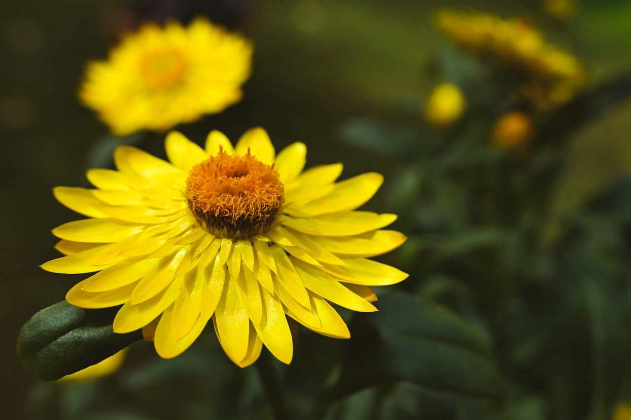 PURIFICADOR DE ÁGUA NATURAALIS LORENZETTI