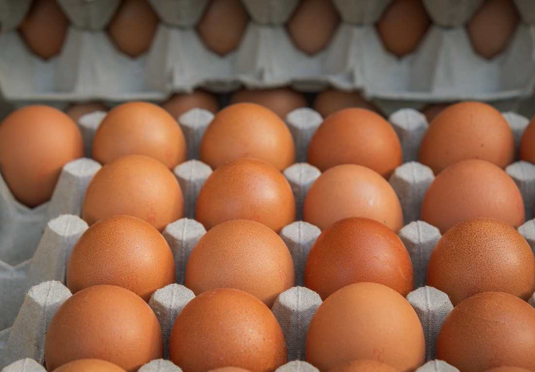 ASSENTO SANITÁRIO ALMOFADADO VOGUE PLUS ASTRA